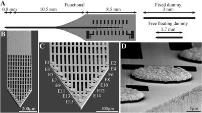 Immunohistological and Ultrastructural Study of the Inflammatory Response to Perforated Polyimide Cortical Implants: Mechanisms Underlying Deterioration of Electrophysiological Recording Quality